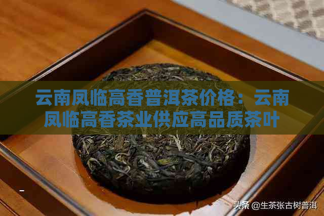 云南凤临高香普洱茶价格：云南凤临高香茶业供应高品质茶叶