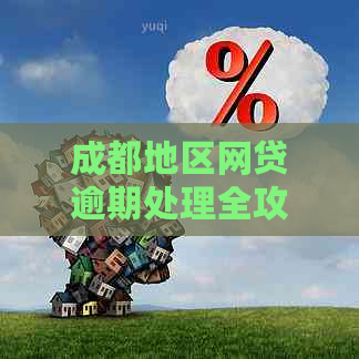 成都地区网贷逾期处理全攻略：如何应对与解决逾期问题