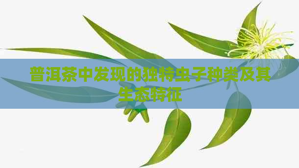 普洱茶中发现的独特虫子种类及其生态特征