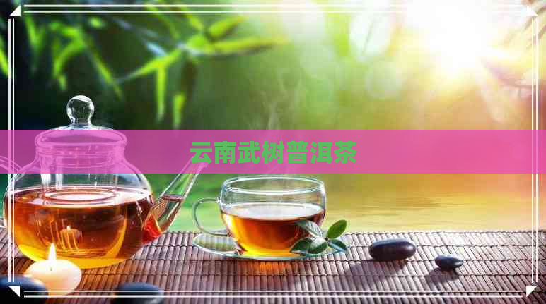 云南武树普洱茶