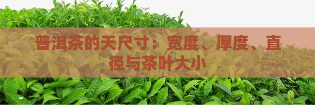 普洱茶的天尺寸：宽度、厚度、直径与茶叶大小