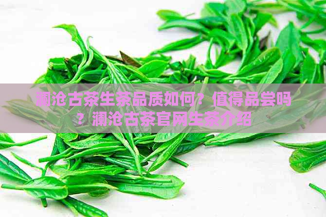 澜沧古茶生茶品质如何？值得品尝吗？澜沧古茶官网生茶介绍