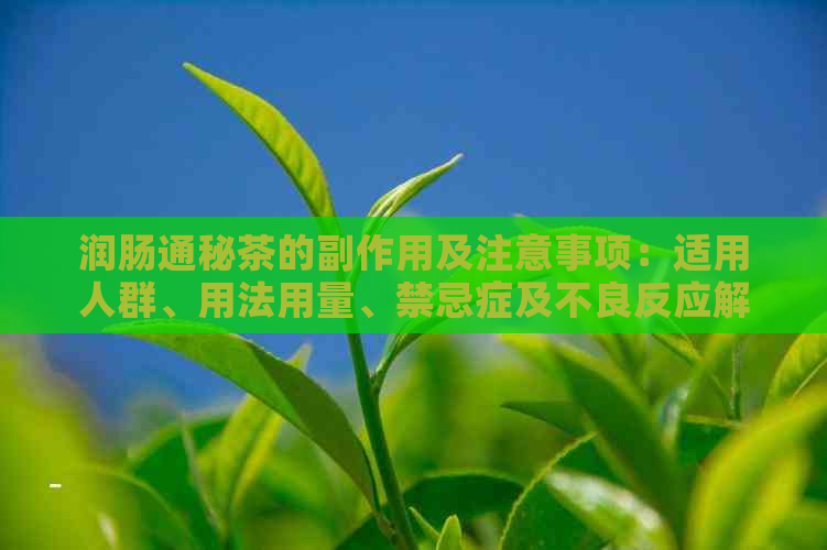 润肠通秘茶的副作用及注意事项：适用人群、用法用量、禁忌症及不良反应解析