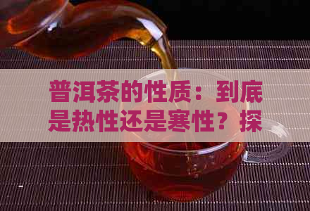 普洱茶的性质：到底是热性还是寒性？探究其背后的科学原理与饮用效果