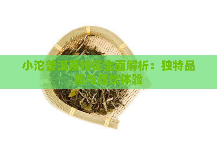 小沱普洱茶特征全面解析：独特品质与品饮体验