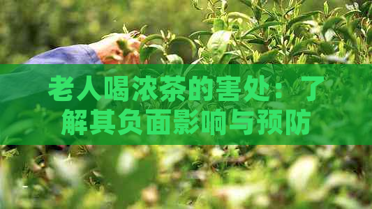 老人喝浓茶的害处：了解其负面影响与预防措