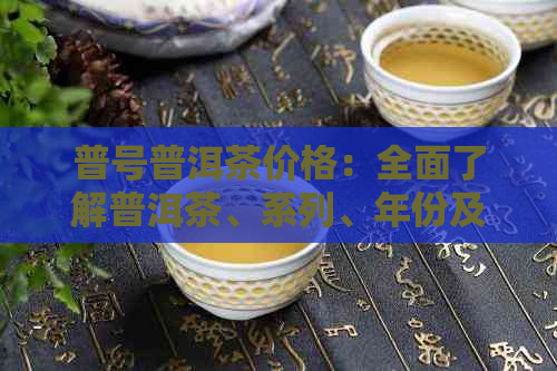 普号普洱茶价格：全面了解普洱茶、系列、年份及市场价格的详细指南