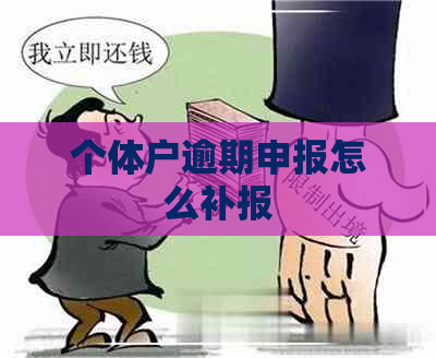 个体户逾期申报怎么补报