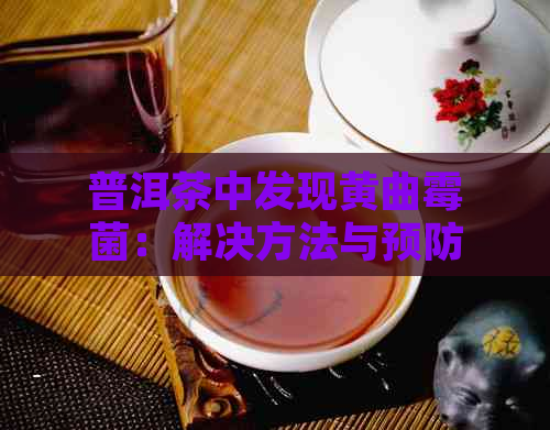 普洱茶中发现黄曲霉菌：解决方法与预防策略