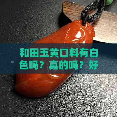 和田玉黄口料有白色吗？真的吗？好吗？都有哪些颜色？