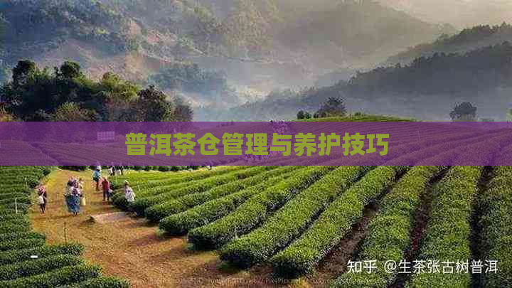 普洱茶仓管理与养护技巧