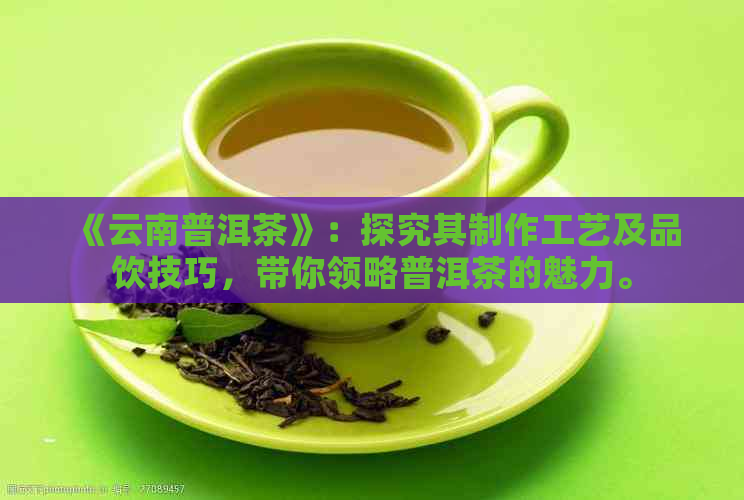 《云南普洱茶》：探究其制作工艺及品饮技巧，带你领略普洱茶的魅力。