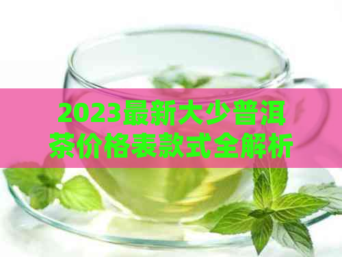 2023最新大少普洱茶价格表款式全解析，为你选购提供最全面的参考。