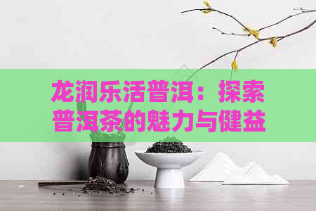 龙润乐活普洱：探索普洱茶的魅力与健益处，品味生活新境界