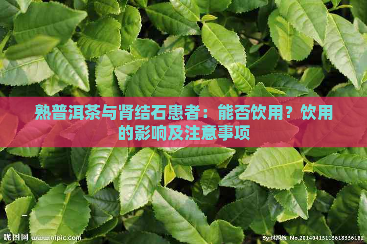 熟普洱茶与肾结石患者：能否饮用？饮用的影响及注意事项