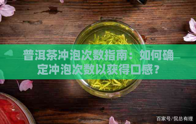 普洱茶冲泡次数指南：如何确定冲泡次数以获得口感？