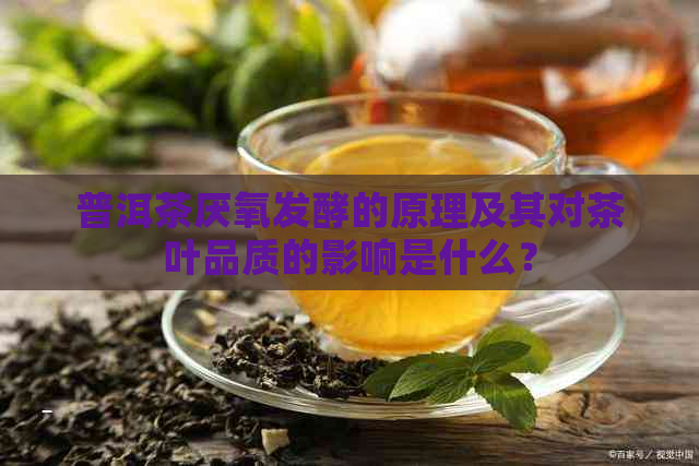 普洱茶厌氧发酵的原理及其对茶叶品质的影响是什么？