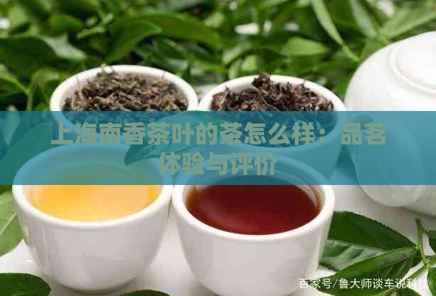 上海南香茶叶的茶怎么样：品茗体验与评价