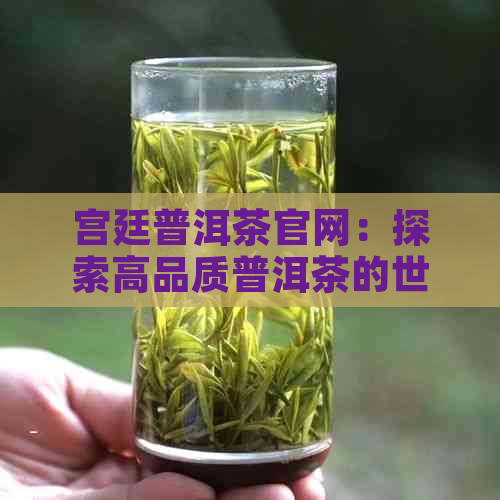 宫廷普洱茶官网：探索高品质普洱茶的世界，了解制作工艺与品鉴方法