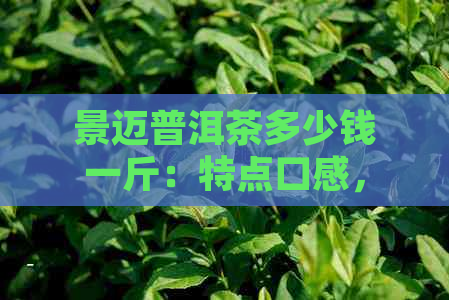 景迈普洱茶多少钱一斤：特点口感，价格解析