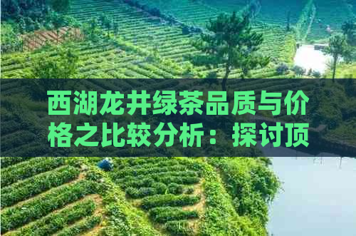 西湖龙井绿茶品质与价格之比较分析：探讨顶峰茶业的茶叶是否值得购买