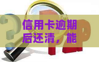 信用卡逾期后还清，能否再次申请网贷并恢复信用？