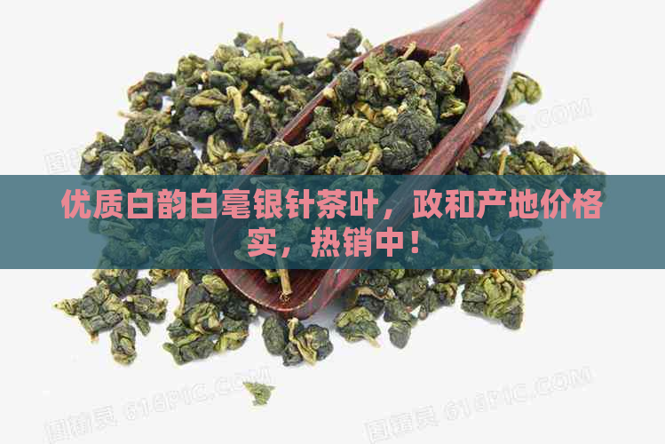 优质白韵白毫银针茶叶，政和产地价格实，热销中！