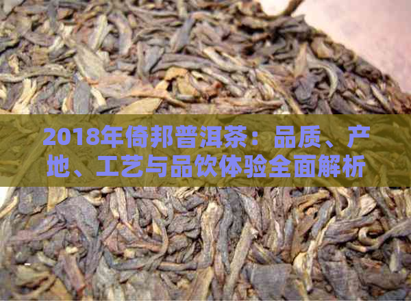 2018年倚邦普洱茶：品质、产地、工艺与品饮体验全面解析