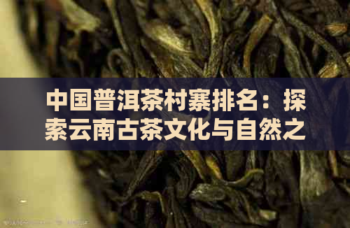 中国普洱茶村寨排名：探索云南古茶文化与自然之美