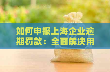 如何申报上海企业逾期罚款：全面解决用户搜索问题的指南