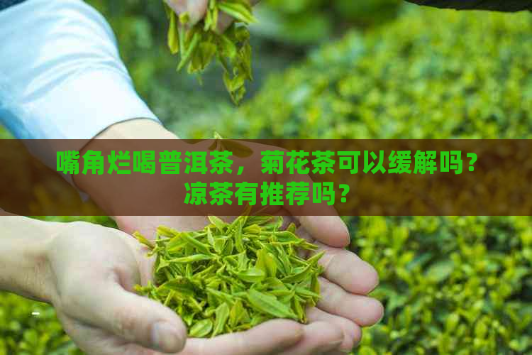 嘴角烂喝普洱茶，菊花茶可以缓解吗？凉茶有推荐吗？