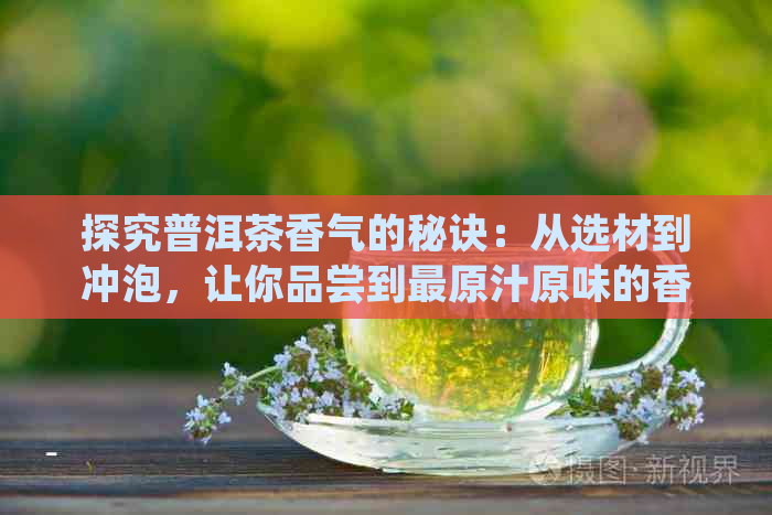 探究普洱茶香气的秘诀：从选材到冲泡，让你品尝到最原汁原味的香醇