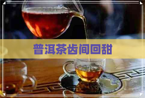 普洱茶齿间回甜