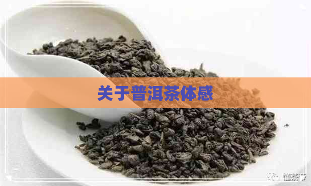 关于普洱茶体感