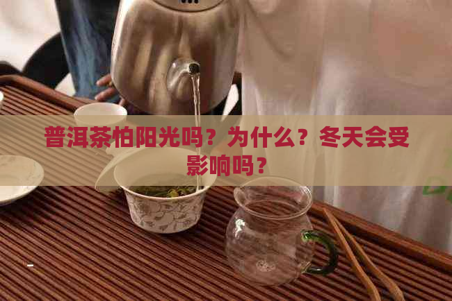 普洱茶怕阳光吗？为什么？冬天会受影响吗？