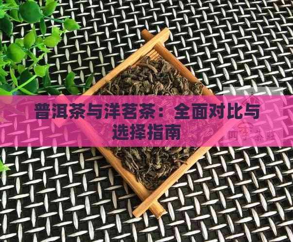 普洱茶与洋茗茶：全面对比与选择指南