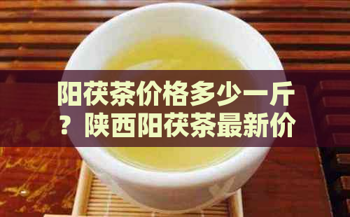 阳茯茶价格多少一斤？陕西阳茯茶最新价格是多少？