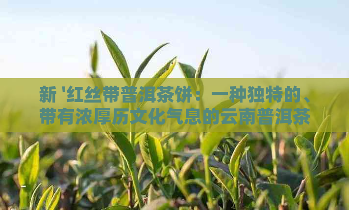 新 '红丝带普洱茶饼：一种独特的、带有浓厚历文化气息的云南普洱茶体验'