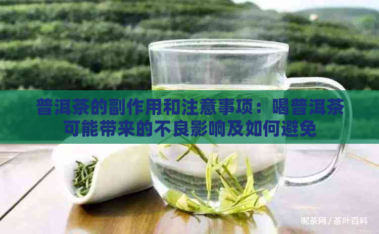 普洱茶的副作用和注意事项：喝普洱茶可能带来的不良影响及如何避免