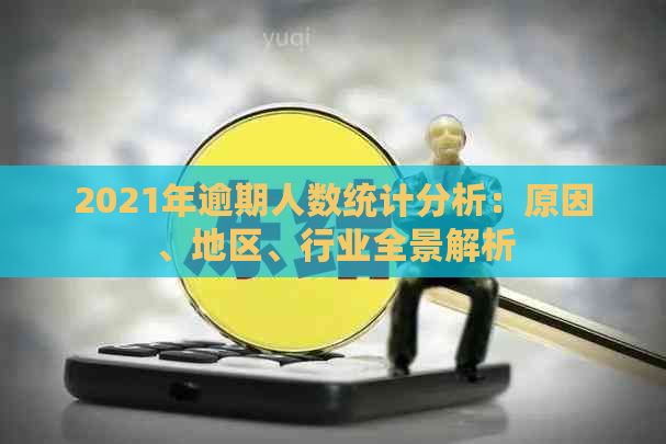 2021年逾期人数统计分析：原因、地区、行业全景解析