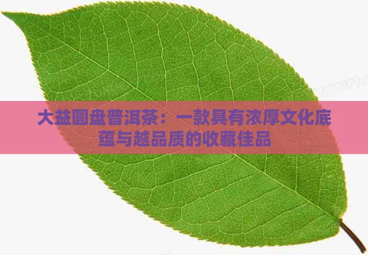 大益圆盘普洱茶：一款具有浓厚文化底蕴与越品质的收藏佳品