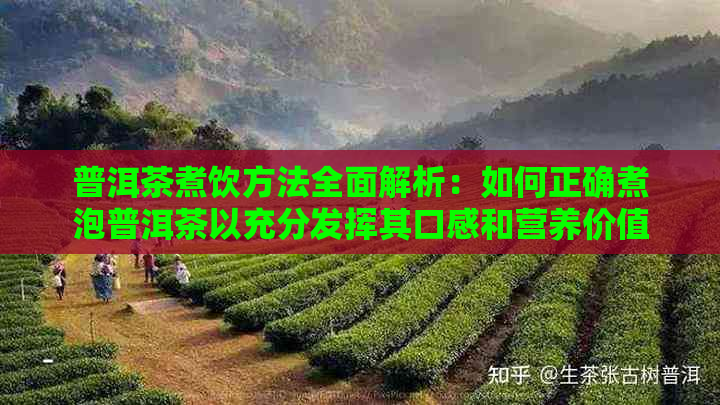 普洱茶煮饮方法全面解析：如何正确煮泡普洱茶以充分发挥其口感和营养价值？