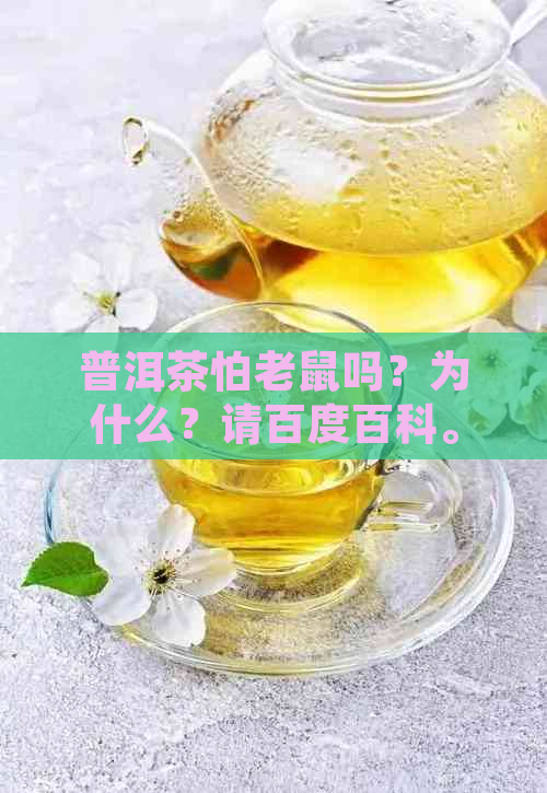 普洱茶怕老鼠吗？为什么？请百度百科。同时，普洱茶是否怕受潮和阳光呢？