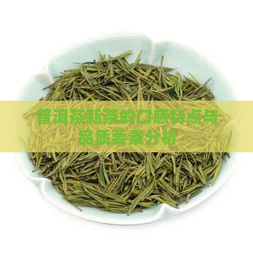 普洱茶新茶的口感特点与品质要素分析