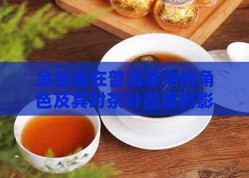 金丝雀在普洱茶中的角色及其对茶叶品质的影响：全面解析与品鉴技巧