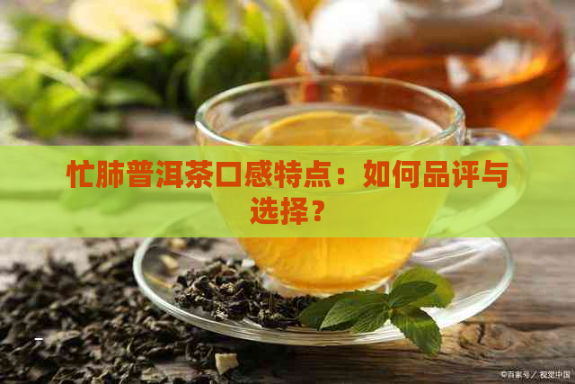 忙肺普洱茶口感特点：如何品评与选择？