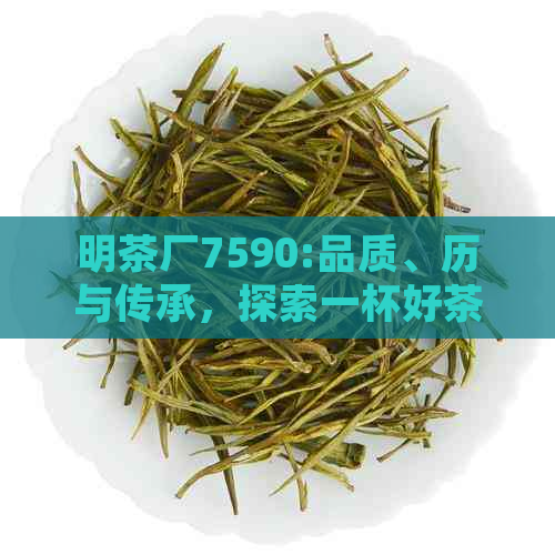 明茶厂7590:品质、历与传承，探索一杯好茶的诞生之道