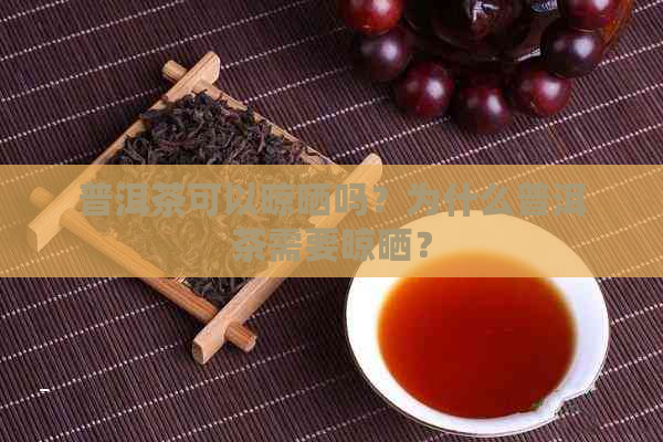 普洱茶可以晾晒吗？为什么普洱茶需要晾晒？