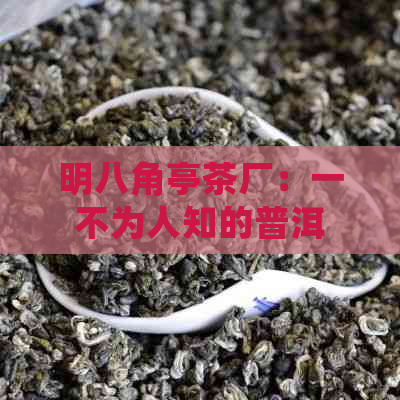 明八角亭茶厂：一不为人知的普洱茶建厂念