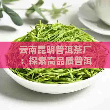 云南昆明普洱茶厂：探索高品质普洱茶的诞生之地与制作工艺